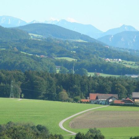 Landgasthof Franz Josef ستراسوالكن المظهر الخارجي الصورة