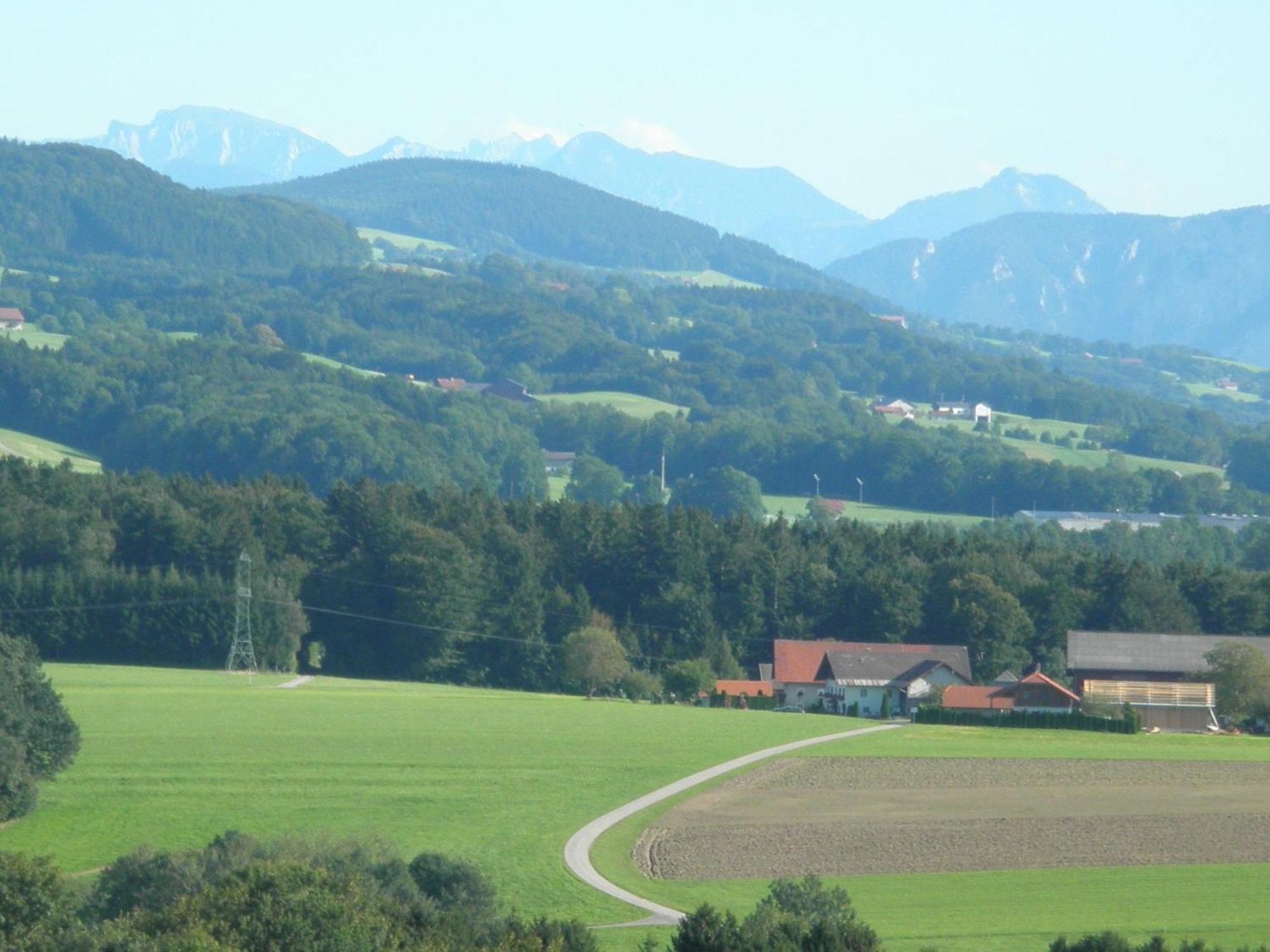 Landgasthof Franz Josef ستراسوالكن المظهر الخارجي الصورة