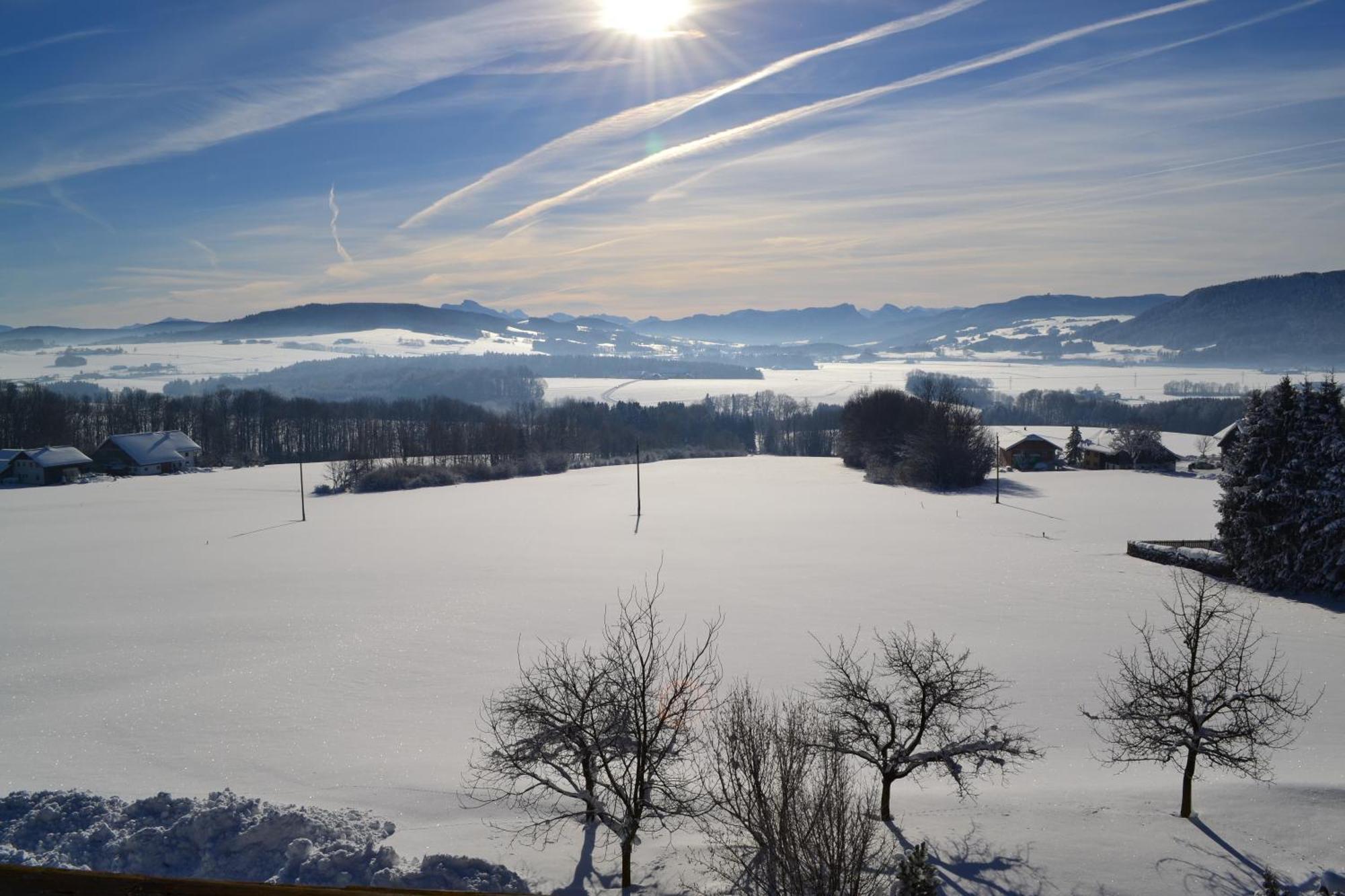 Landgasthof Franz Josef ستراسوالكن المظهر الخارجي الصورة